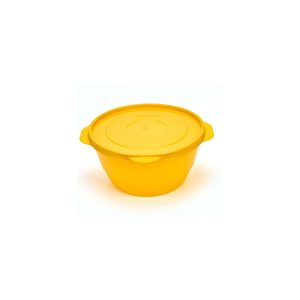 4.2L Salad/Fruit Bowl with Lid